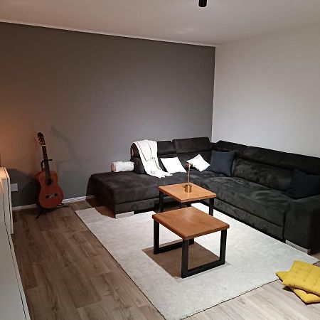 Stylish 1-Bedroom Flat With Beautiful Terrace , For A Cosy Retreat Strasbourg Exteriör bild