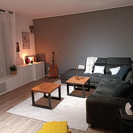 Stylish 1-Bedroom Flat With Beautiful Terrace , For A Cosy Retreat Strasbourg Exteriör bild